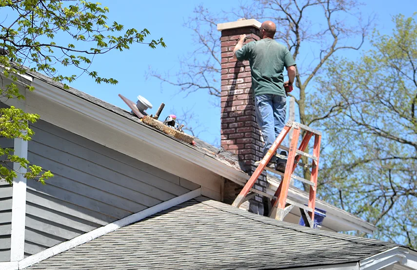 Chimney & Fireplace Inspections Services in Indianapolis, IN