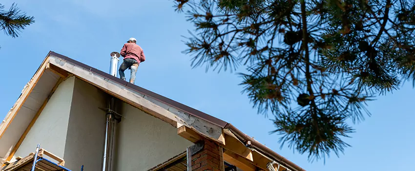 Birds Removal Contractors from Chimney in Indianapolis, IN