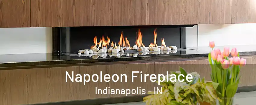 Napoleon Fireplace Indianapolis - IN